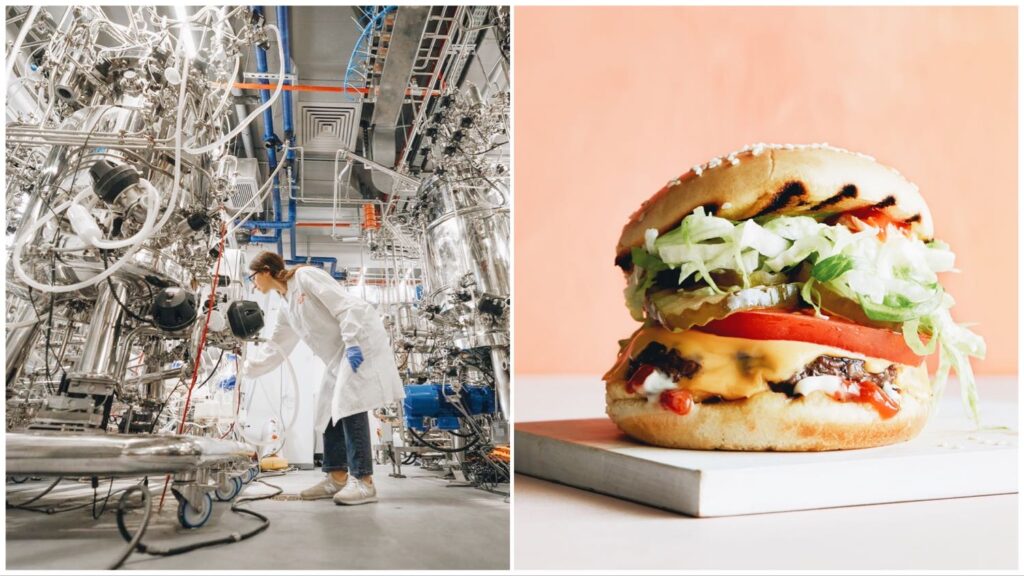 Split of a lab environment (left) and a Future Meat cultured burger (right).