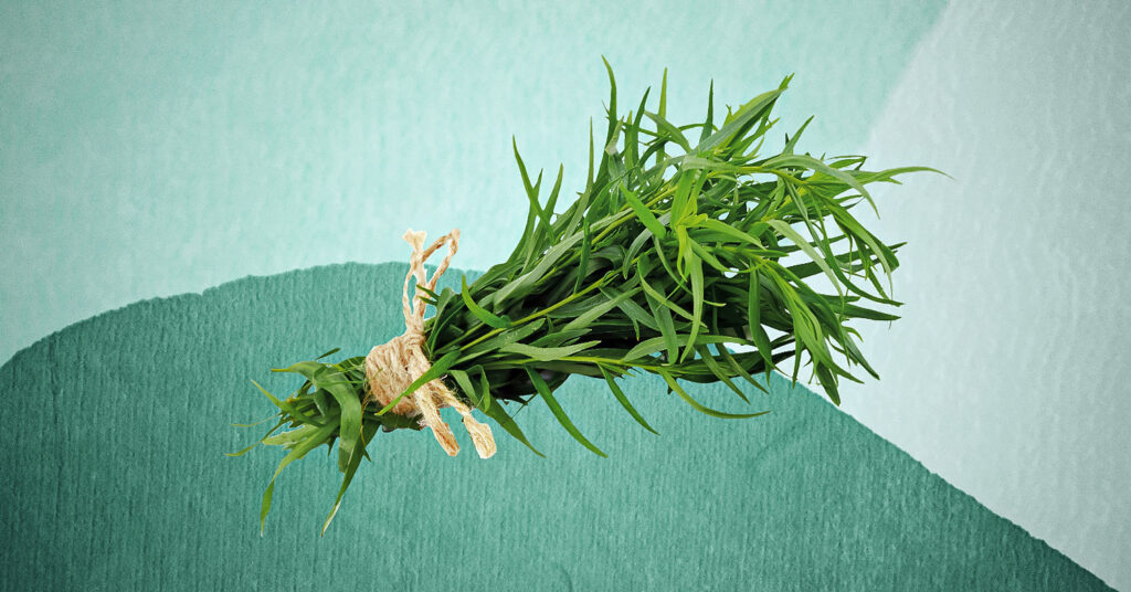 how to cook with tarragon