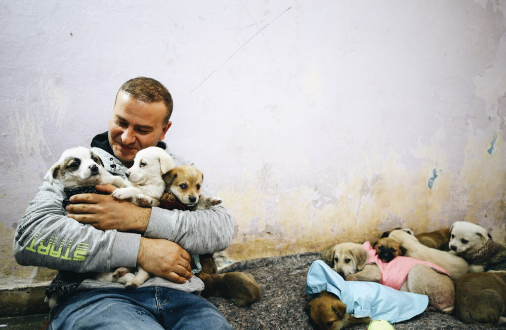 Photo shows Volkan Koc holding stray puppies in a house he rented to shelter them. One of the biggest animal welfare laws of 2021 saw Turkey reclassify stray animals and pets as living beings.