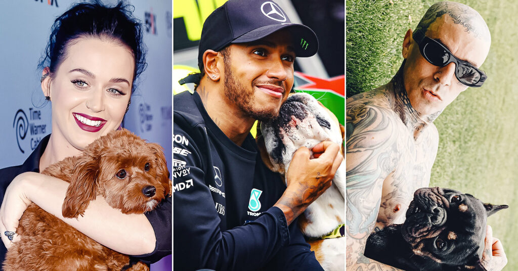 celebrities who love dogs