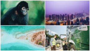 Clockwise: photo of spider monkey, the Dubai skyline (which could be cooled by fake rain), a reef from overhead, and Glenfiddich workers.