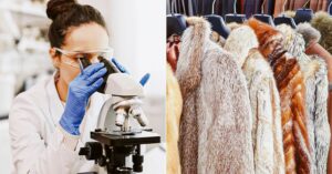Photos of a scientist looking into a microscope and fur coats