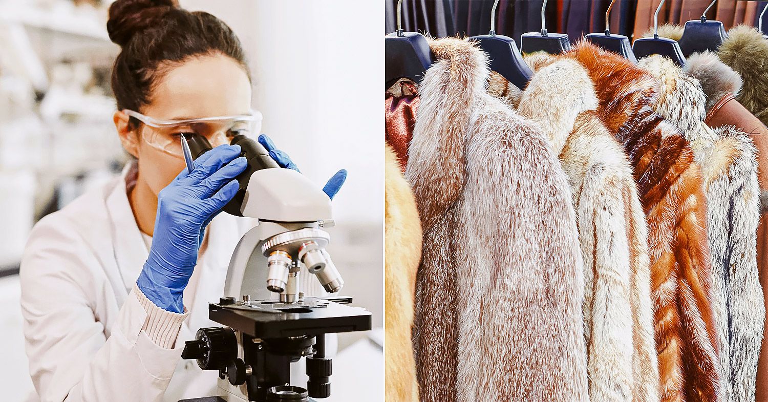 Could Lab-Grown Fur Disrupt the Luxury Fashion World?