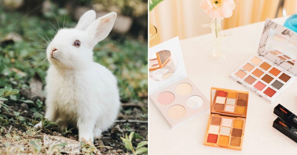 Photo of a rabbit and makeup.