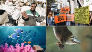 Clockwise from top left. Photos show Nzambi Matee (inventor of innovative plastic pollution solutions), XR protestors demonstrating for Indigenous rights, sealife swimming around coral, and a young platypus.