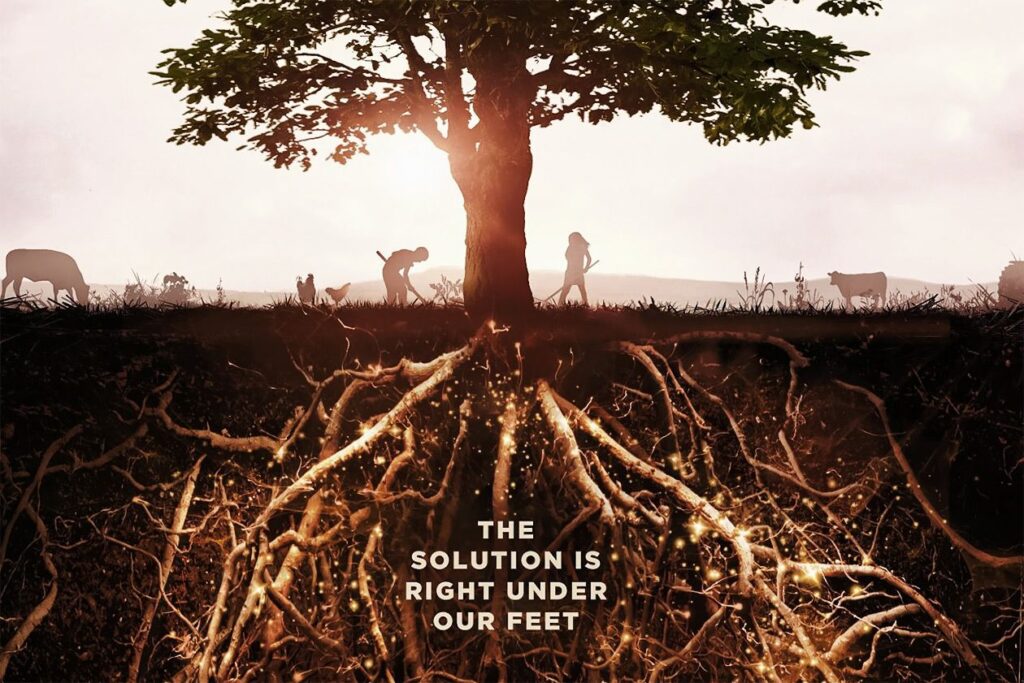 Image: poster for the 'Kiss the Ground' movie, which shows a tree with deep roots.