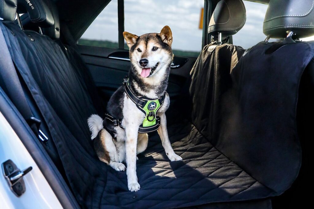 dog car blanket