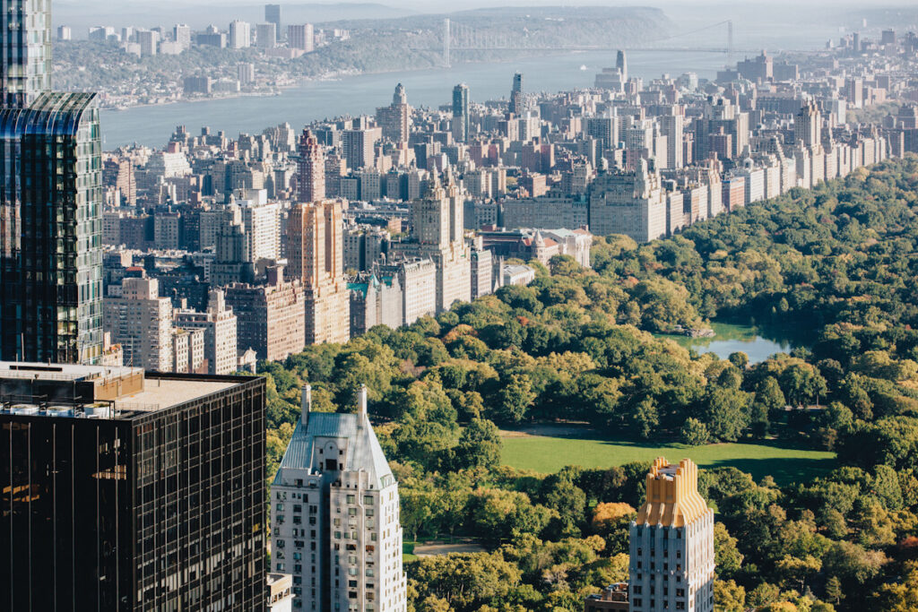 Photo shows Central Park, New York City, from above, including greenery, skyscrapers, and the river beyond.