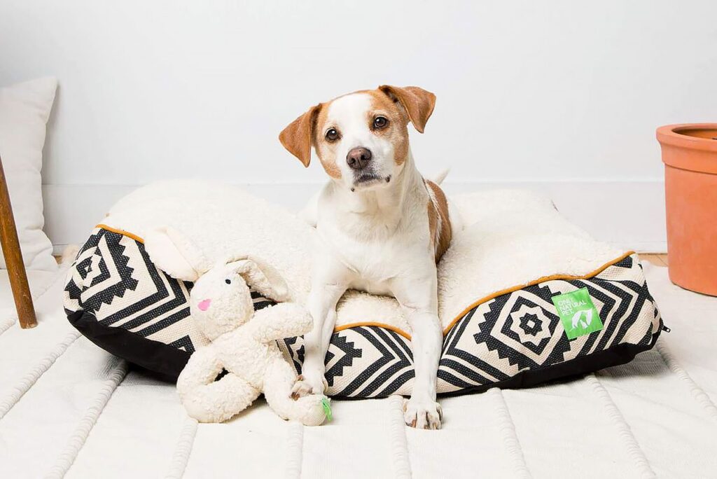 sustainable dog bed