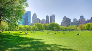 Photo shows the Great Lawn in New York City's Central Park. Central Park is getting its own climate lab.