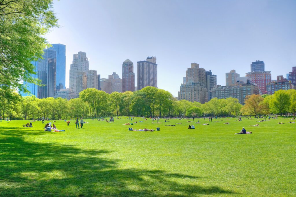 Photo shows the Great Lawn in New York City's Central Park. Central Park is getting its own climate lab.