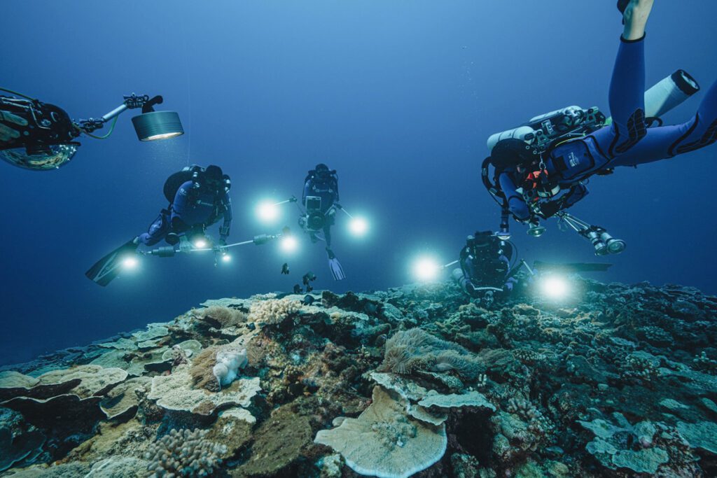 Photo shows divers examining a pristine coral reef deep underwater.