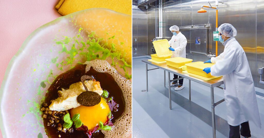 Split image shows a photograph of precision fermented food (left) and UPSIDE Foods employees in PPE working in a lab setting (right). Alternative protein companies like UPSIDE are experiencing an increase in investments.