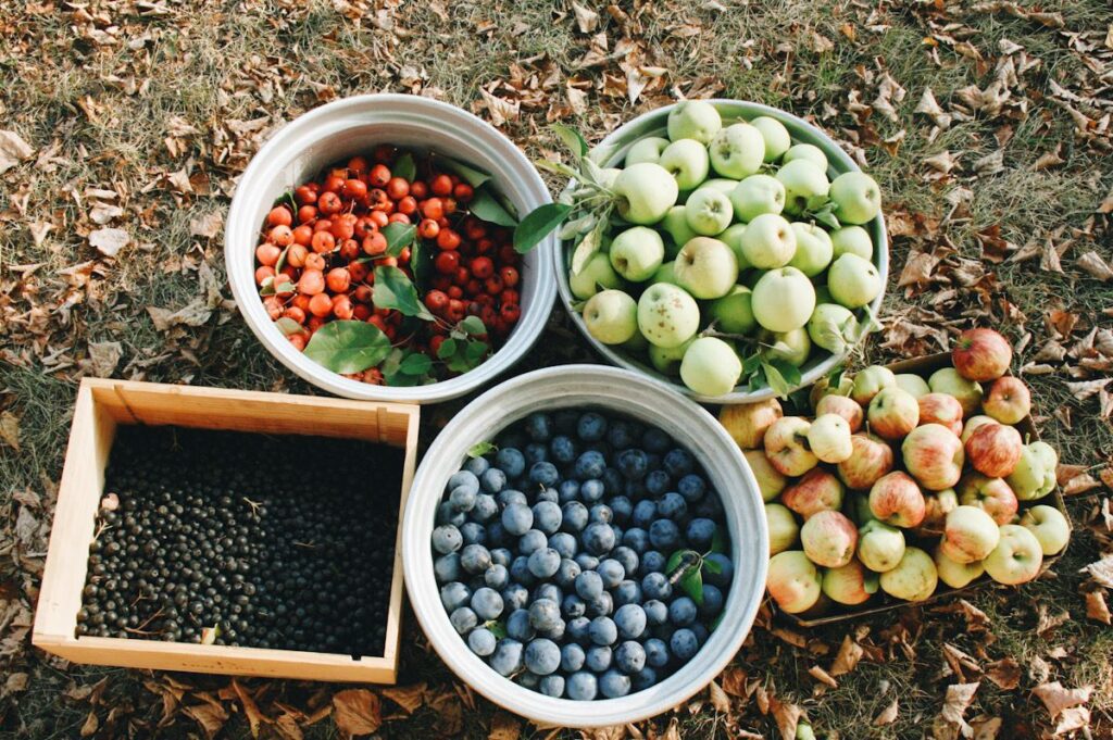 Photo shows containers full of fruits like blueberries, crabapples, and other berries found via urban gleaning 
