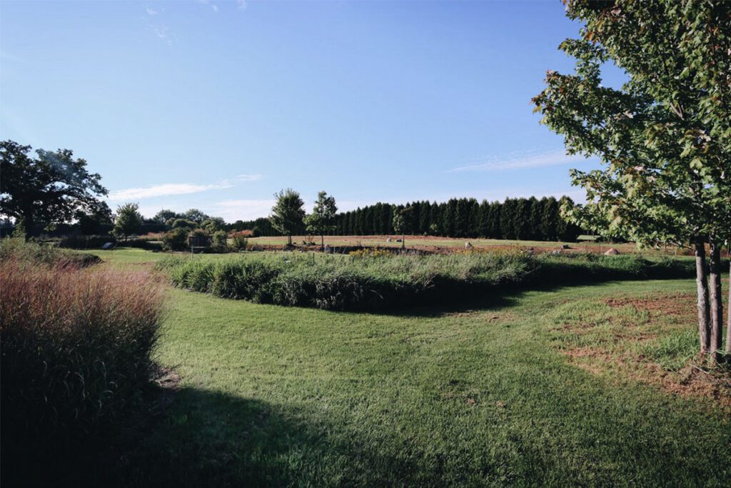 Photo shows a plot of land used for green burials.